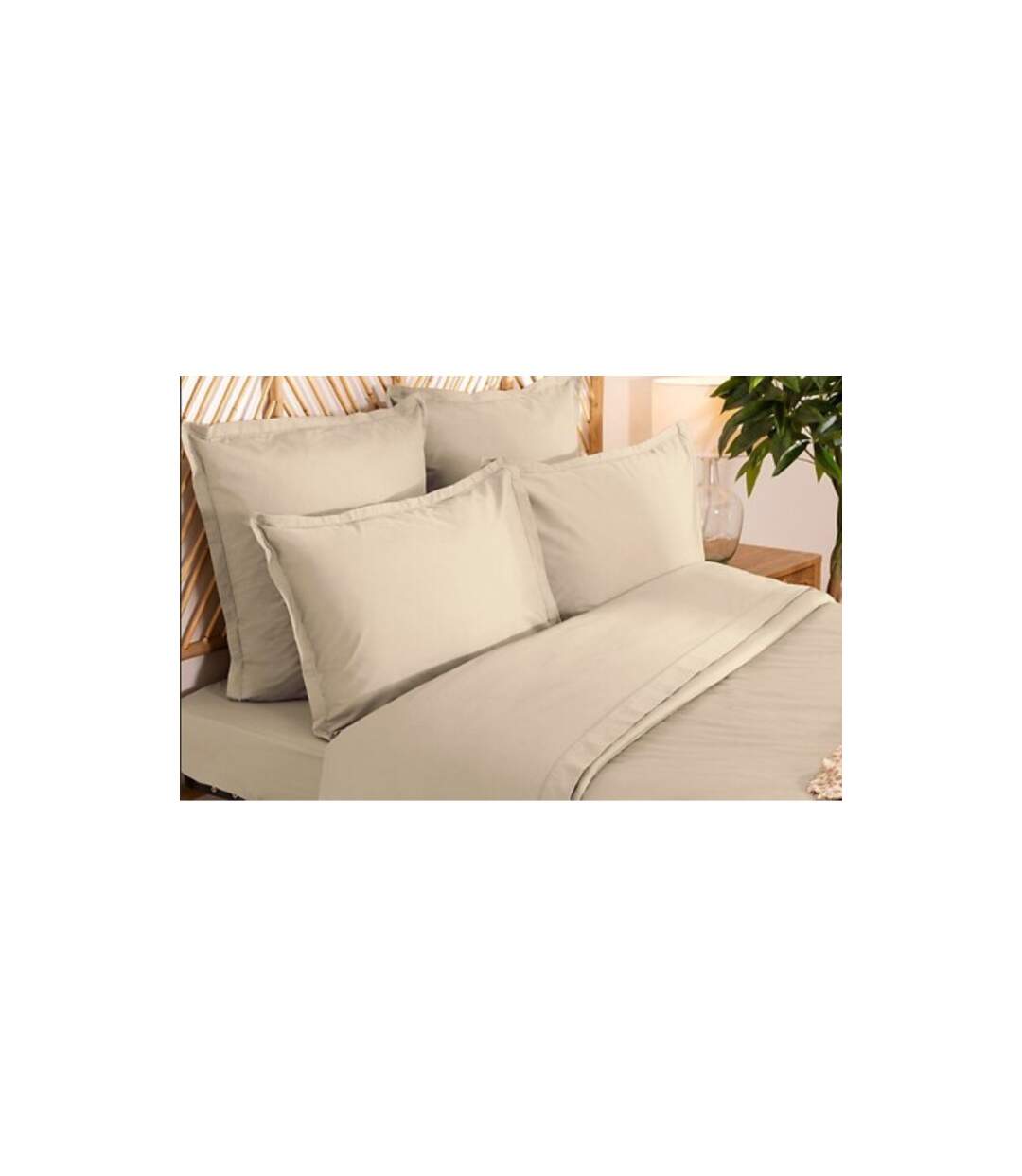 Parure de Lit 3 Pièces Percale 260x240cm Beige Lin-2
