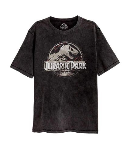Jurassic Park - T-shirt - Adulte (Noir) - UTHE794