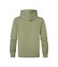 Sweat à Capuche Kaki Homme Petrol Industries Hooded - XXL-2