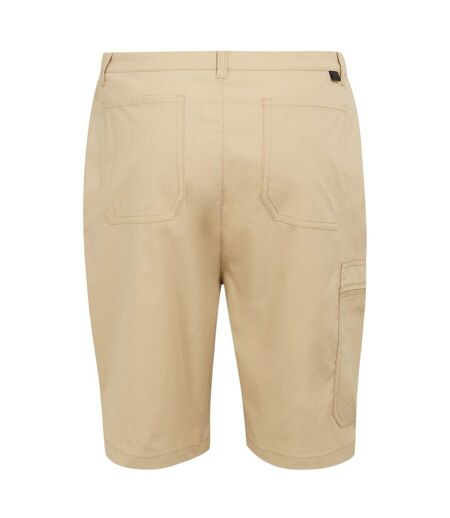 Short dalry homme avoine Regatta