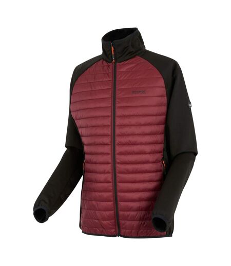 Veste Hybride Clumber Homme Pourpre Foncé Noir Regatta