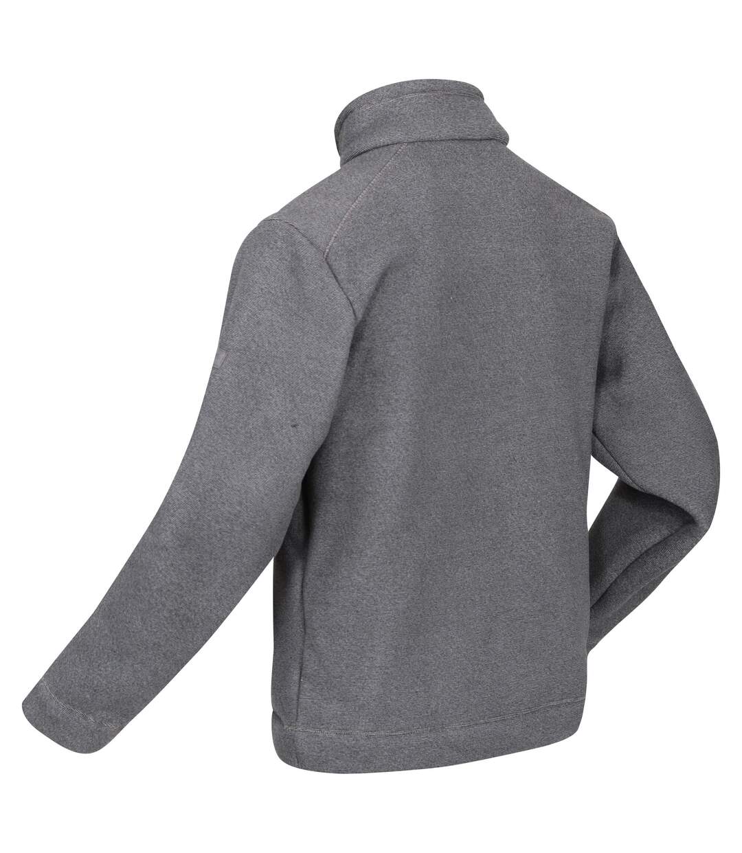 Veste Polaire Garrian Homme Cendre Noir Regatta-3