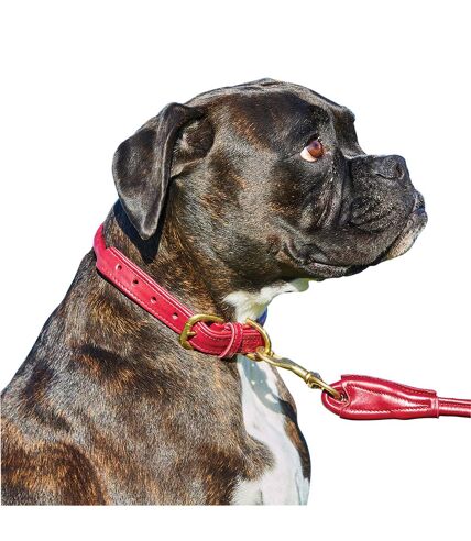 Weatherbeeta Rolled Leather Dog Collar (XXL) (Maroon) - UTWB1256