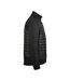 Veste Softshell Appalachian Homme Noir Stormtech-4