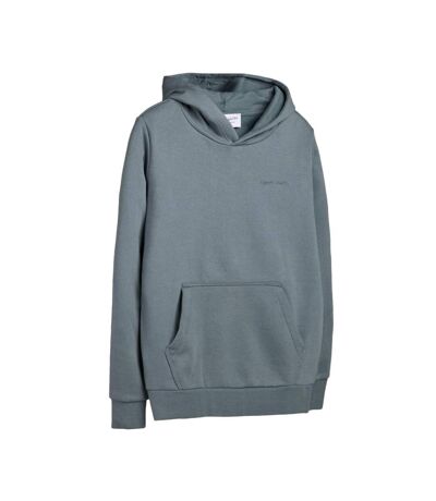 Sweat à capuche gris homme teddy smith nark hoody - l