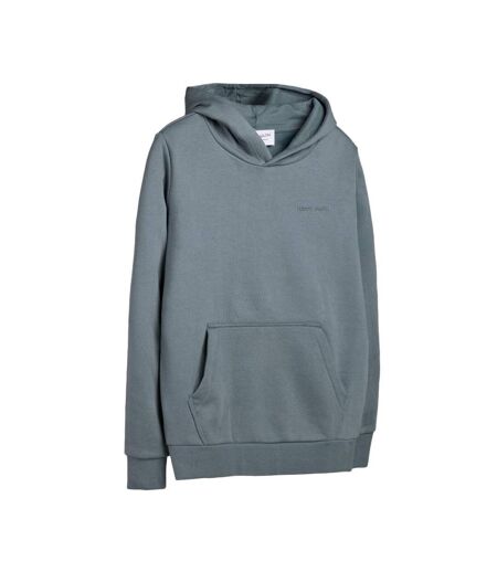 Sweat à capuche gris homme teddy smith nark hoody - l