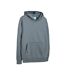 Sweat à capuche gris homme teddy smith nark hoody - l-1