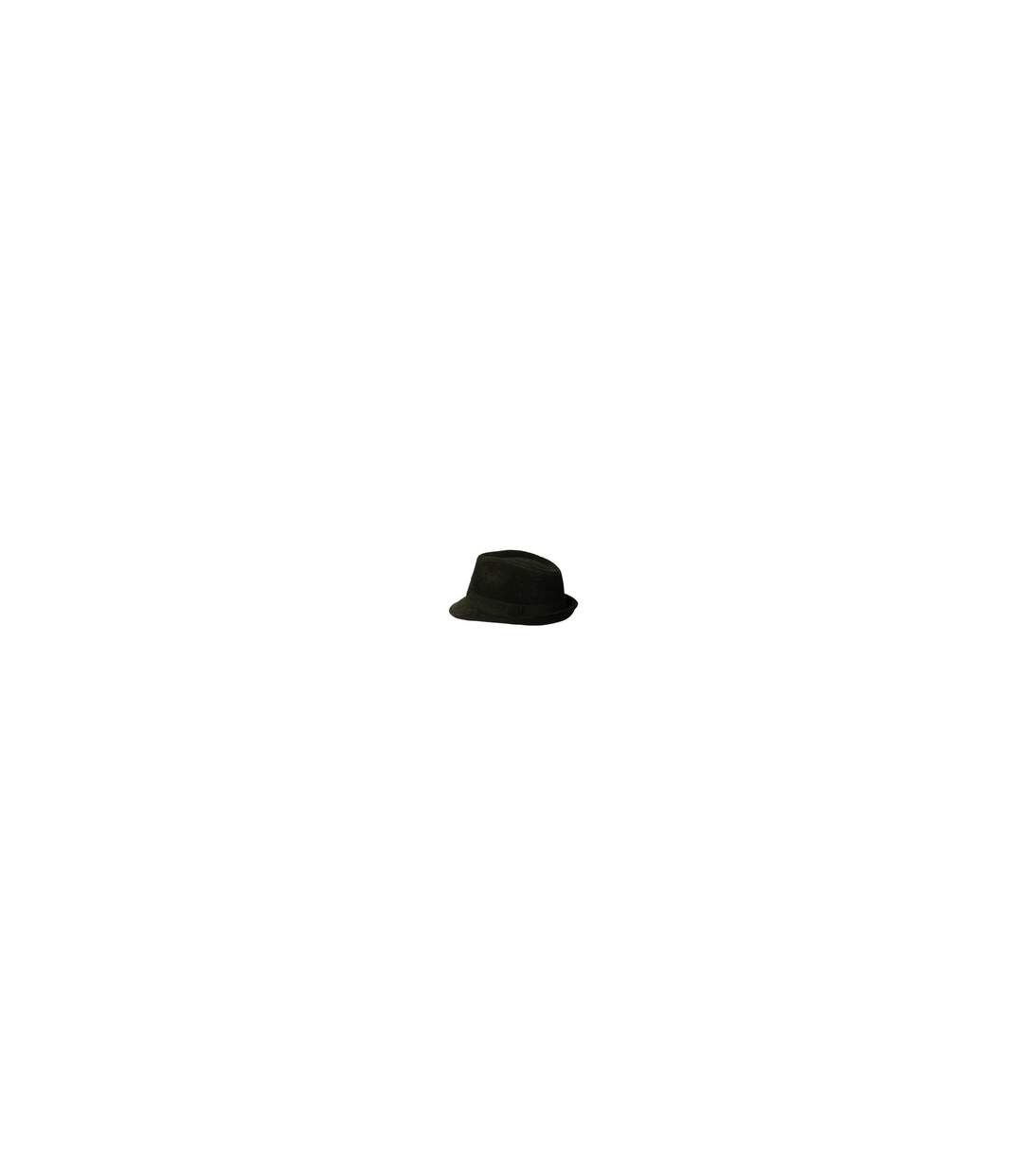 Chapeau trilby VELOURIS