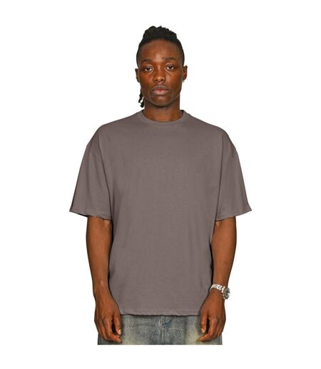 Unisex Adult Combed Ringspun Cotton Oversized T-shirt Taupe Casual Classics
