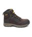 Kirksville S3 Pro-lite Safety Boots Multi Colour DeWALT Power Tools-2