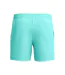 Mens Essentials Swim Shorts Turquoise Speedo-3