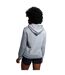 Womens/ladies Club Lightweight Hoodie Classic Marl Canterbury-4