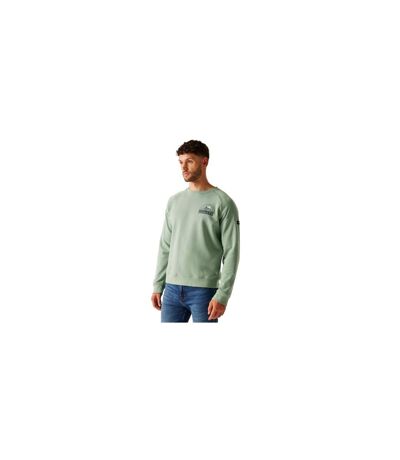 Mens Nithsdale Mountain Crew Neck Sweatshirt Glacier Regatta