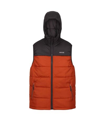 Regatta - Veste sans manches NEVADO - Homme (Cendre / Orange brûlé) - UTRG8163