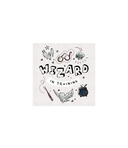 Harry Potter - Imprimé WIZARD IN TRAINING (Blanc / Noir) (30 cm x 30 cm) - UTPM6054