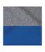 Unisex Adult Colour Block Nublend Hoodie Oxford Royal Blue Jerzees-2