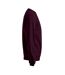 Sweat New Homme Bordeaux Promodoro-3
