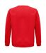 SOLS Unisex Adult Space Organic Raglan Sweatshirt (Red)
