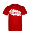 Liverpool FC Mens Champions League Winners T-Shirt (Red) - UTSG17351