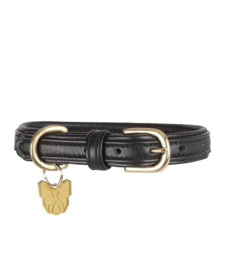 Leather padded dog collar xl neckline: 58cm-64cm black Digby & Fox