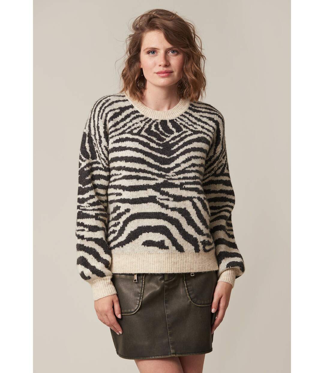 Pull col rond à imprimé animal zébré ASTRID-1