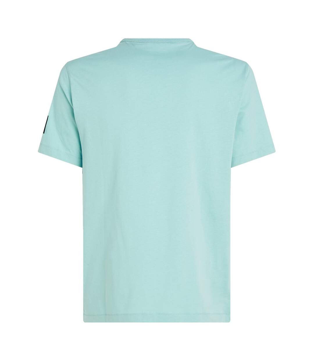 T-shirt Motif/style Badge Homme Menthe Fraîche Calvin Klein-2