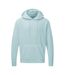 Sweatshirt Homme Bleu Pastel SG-2