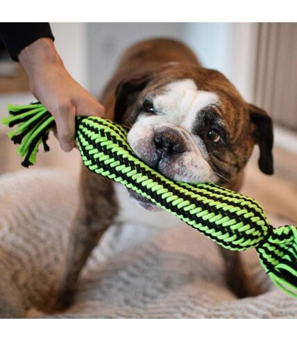 Jolly Pets Knot-N-Chew Rope Dog Toy (Green/Black) (S, M) - UTTL5208