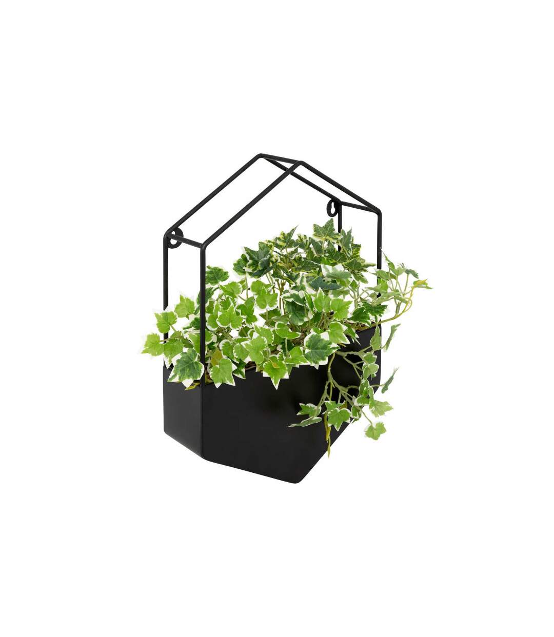 Plante Artificielle à Suspendre Curt 35cm Noir-1