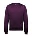 Sweatshirt hommes prune Awdis