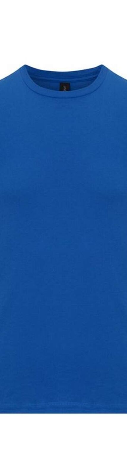 Gildan - T-shirt - Adulte (Bleu roi) - UTRW9215