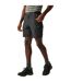 Mens Leesville Iii Shorts Ash Regatta-1