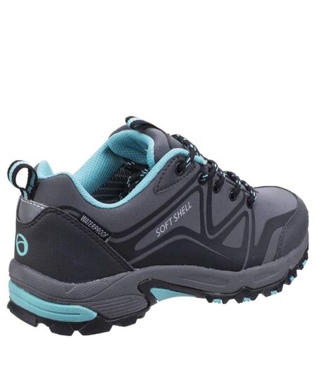 Cotswold Womens/Ladies Abbeydale Low Hiking Boots (4 UK) (Grey/Black/Aqua) - UTFS5224