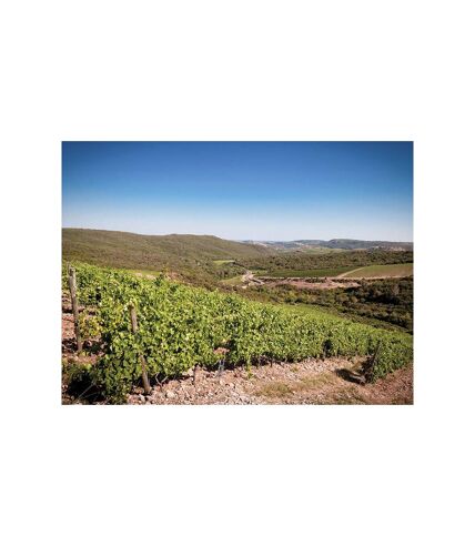 Visite d'un vignoble familial en agriculture biologique et dégustation de vins dans le Languedoc - SMARTBOX - Coffret Cadeau Sport & Aventure