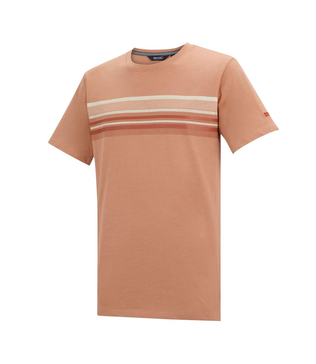 T-shirt Rendro Homme Argile Italienne Regatta-3