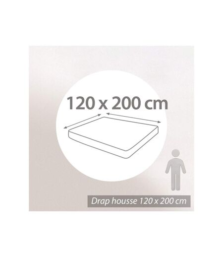 Drap housse en percale de coton uni PASSION PERCALE Bonnet de 30 cm