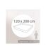 Drap housse en percale de coton uni PASSION PERCALE Bonnet de 30 cm-4