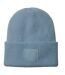 Bonnet Motif/style Écusson Tonal Adulte Vieux Bleu Beechfield-1