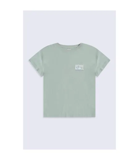 Womens/ladies Phoenix Organic T-shirt Blue Animal