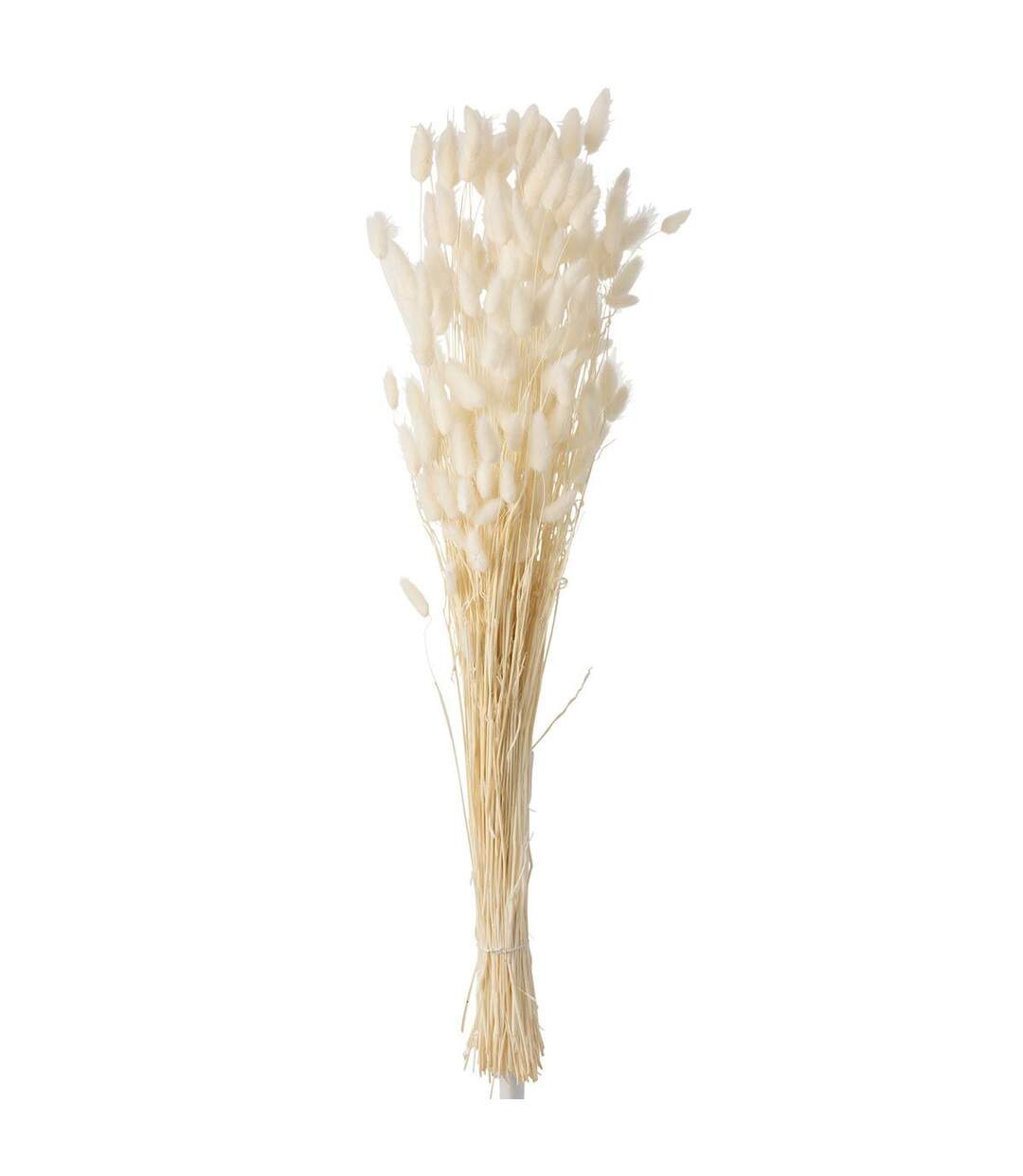 Bouquet de Fleurs Queue de Lièvre 86cm Écru-1