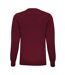 Asquith & Fox Mens Cotton Rich V-Neck Sweater (Burgundy)