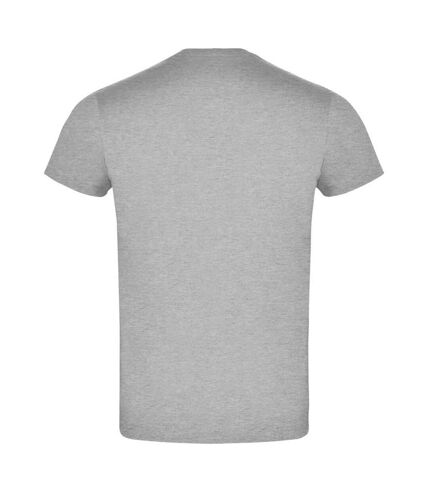 Roly Unisex Adult Atomic T-Shirt (Grey Marl) - UTPF4348