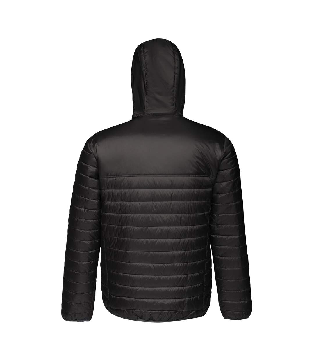 Mens firedown padded jacket black/red Regatta