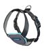 Carsafe dog car harness xs black Company Of Animals