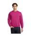 Sweat Adulte Rose Gildan-1