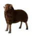 Statue Mouton Cornes Chalet 79cm Marron-1