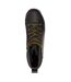 Regatta Mens Cypress Evo Leather Walking Boots (Brown) - UTRG8398