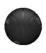 Ballon De Basket Motif/style Nba Evergreen Curry Taille 7 Noir Wilson-4