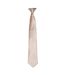 Premier - Cravate à clipser (Vert oasis) (Taille unique) - UTRW4407