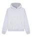 Sweat À Capuche Premium Adulte Gris Cendre Casual Classics-1
